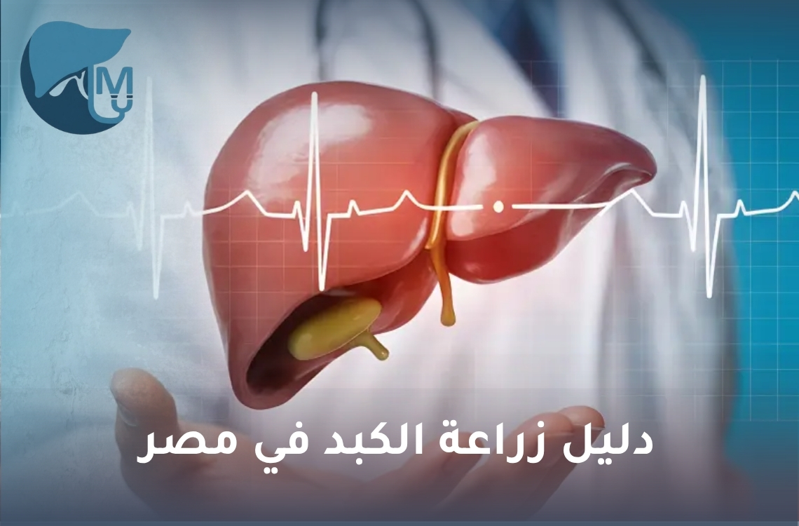 دليل زراعة الكبد في مصر: الشروط والمتبرع والعملية ونسب النجاح