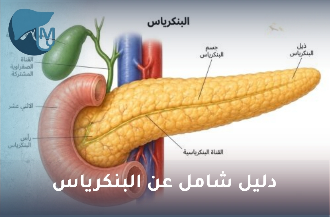 دليل شامل عن البنكرياس: الأمراض والأورام والأعراض وطرق العلاج والجراحة